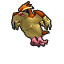 Pokémon Colosseum (de face, normal)