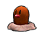 Pokémon Colosseum (de face, normal)