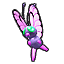 Pokémon Colosseum (de face, shiny)