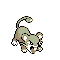 Pokémon Crystal (de face, shiny)