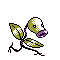 Pokémon Crystal (de face, shiny)