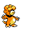 Pokémon Crystal (de face, shiny)