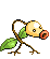 Pokémon Emeraude (de face, normal)