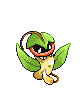 Pokémon Emeraude (de face, normal)