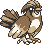 Pokémon Jaune (de face, normal)