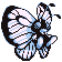 Pokémon Rouge/Bleu (de face, normal)