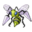 Pokémon Rouge-Feu/Vert-Feuille (de face, shiny)