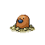 Pokémon Rouge-Feu/Vert-Feuille (de face, shiny)