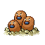 Pokémon Rouge-Feu/Vert-Feuille (de face, shiny)