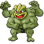 Pokémon Rouge-Feu/Vert-Feuille (de face, shiny)