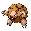Pokémon Rouge-Feu/Vert-Feuille (de face, shiny)