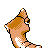 Pokémon Or (de dos, shiny)