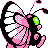 Pokémon Or (de dos, shiny)