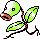 Pokémon Or (de face, normal)