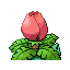 Pokémon Rubis/Saphire (de dos, normal)