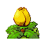 Pokémon Rubis/Saphire (de dos, shiny)