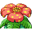 Pokémon Rubis/Saphire (de dos, normal)