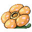 Pokémon Rubis/Saphire (de dos, shiny)