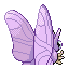Pokémon Rubis/Saphire (de dos, normal)