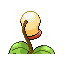 Pokémon Rubis/Saphire (de dos, normal)
