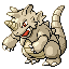 Pokémon Rubis/Saphire (de face, shiny)