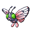 Pokémon Rubis/Saphire (de face, shiny)