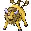 Pokémon Rubis/Saphire (de face, normal)
