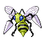 Pokémon Rubis/Saphire (de face, shiny)