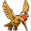 Pokémon Rubis/Saphire (de face, normal)