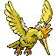 Pokémon Rubis/Saphire (de face, shiny)