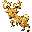 Pokémon Rubis/Saphire (de face, normal)