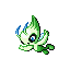 Pokémon Rubis/Saphire (de face, normal)