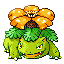 Pokémon Rubis/Saphire (de face, shiny)