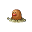 Pokémon Rubis/Saphire (de face, normal)