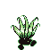 Pokémon Vert (de face, normal)