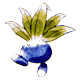 Voir d'autres images de ce Pokémon...