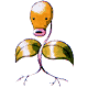 Voir d'autres images de ce Pokémon...