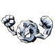 Voir d'autres images de ce Pokémon...